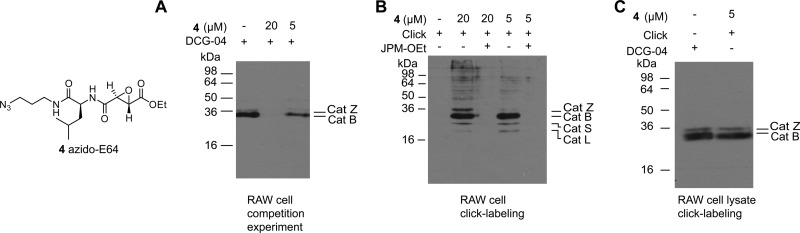 Fig. 4.