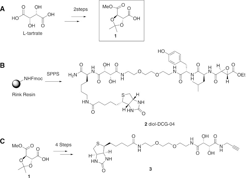 Fig. 2.