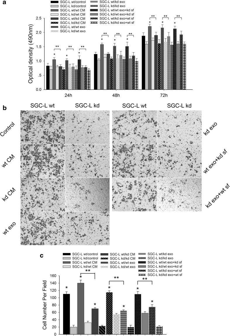 Fig. 6