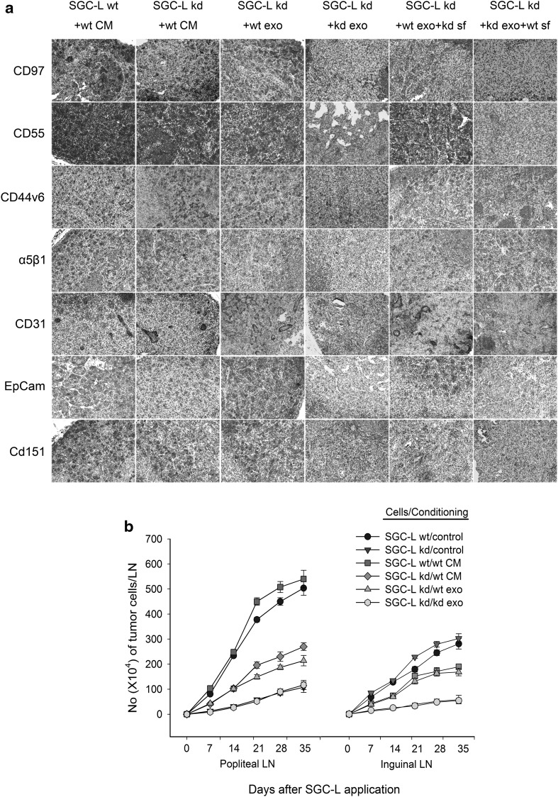 Fig. 7