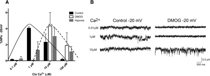 FIGURE 3: