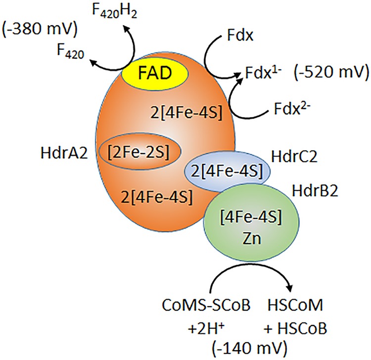 FIG 4 