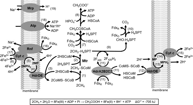 FIG 6 