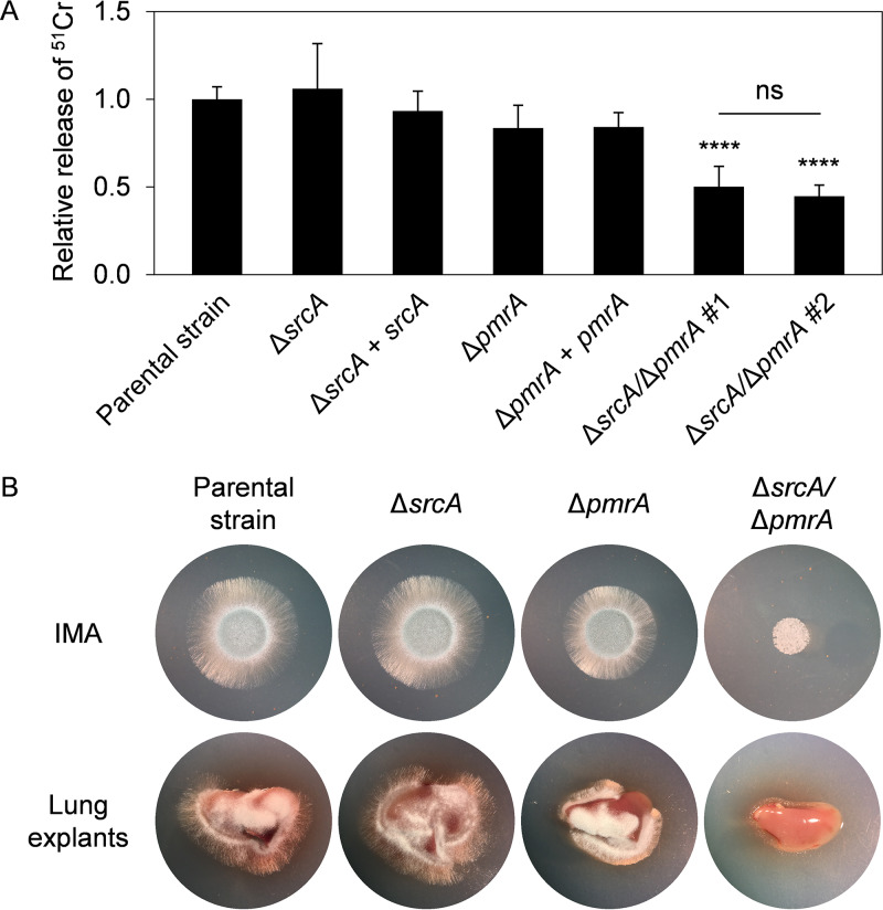 FIG 6