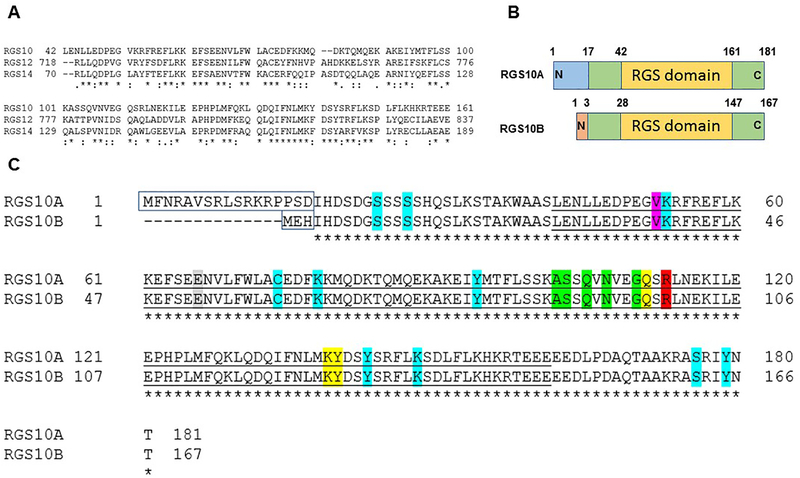 Figure 3: