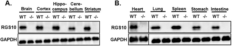 Figure 4: