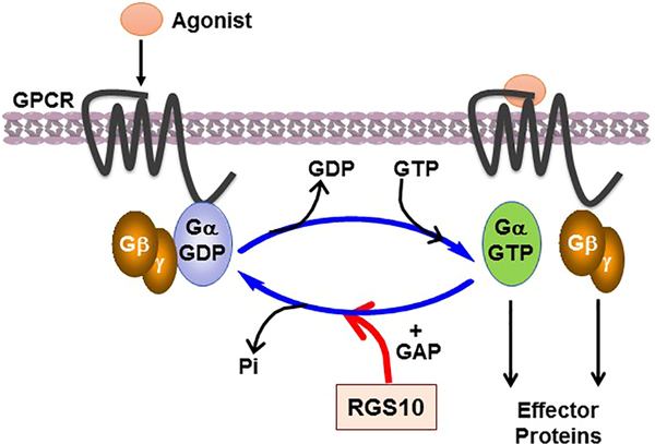 Figure 1: