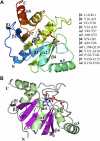 FIG 2
