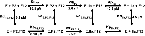 SCHEME 2.