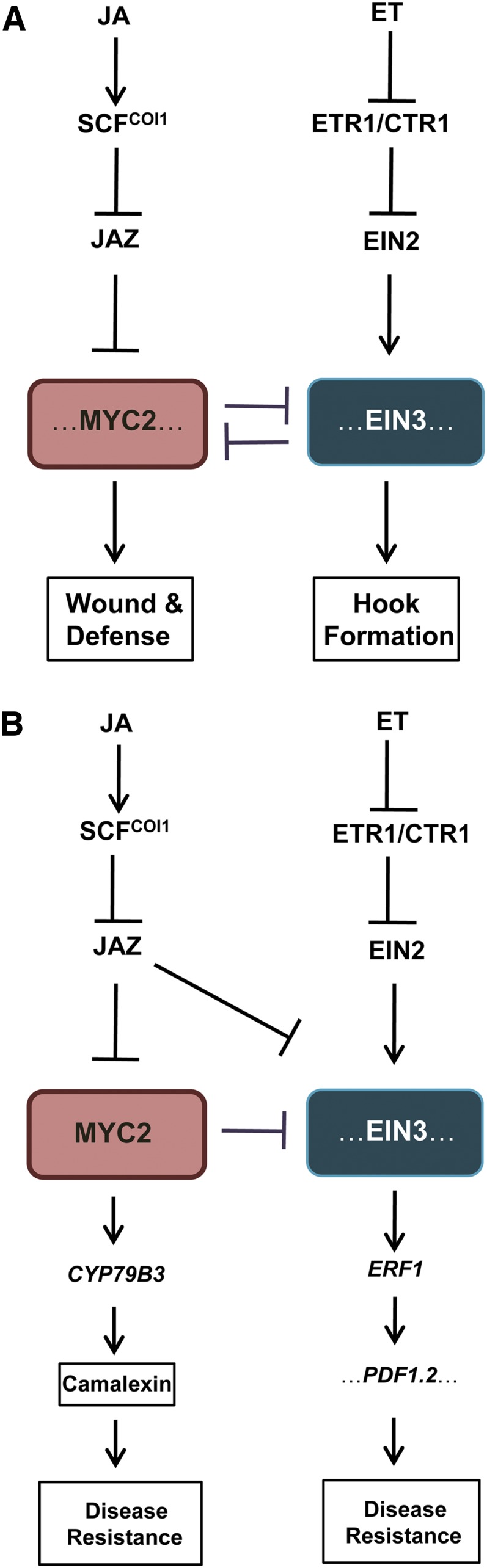 Figure 10.