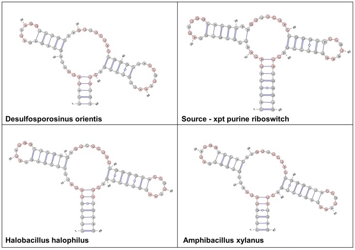 Fig 4