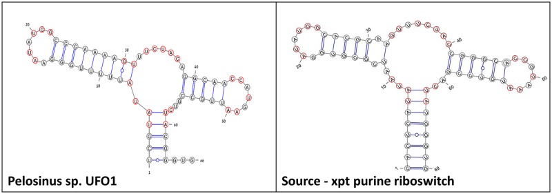 Fig 5