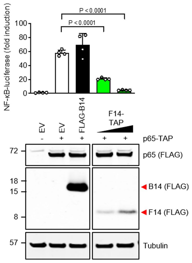 Extended Data Fig. 5