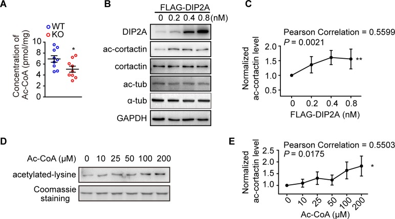 Fig 5