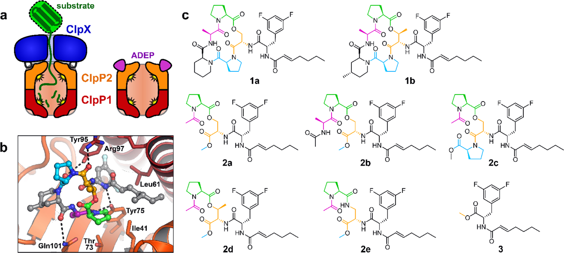 Figure 1.