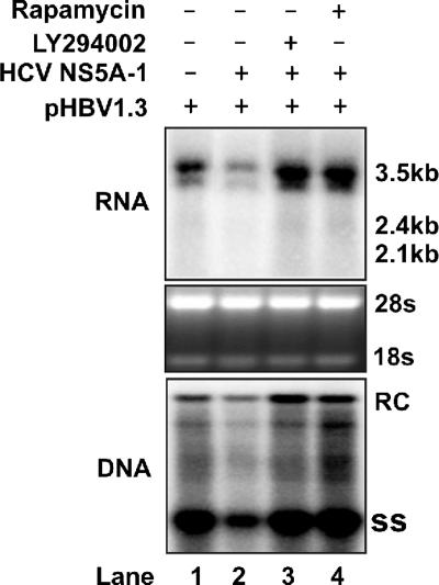 FIG. 8.