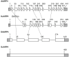 Figure 5.6