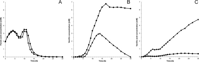 Fig 5