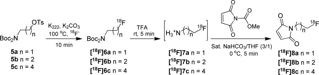 Scheme 2