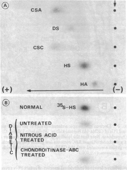 graphic file with name pnas00634-0184-a.jpg