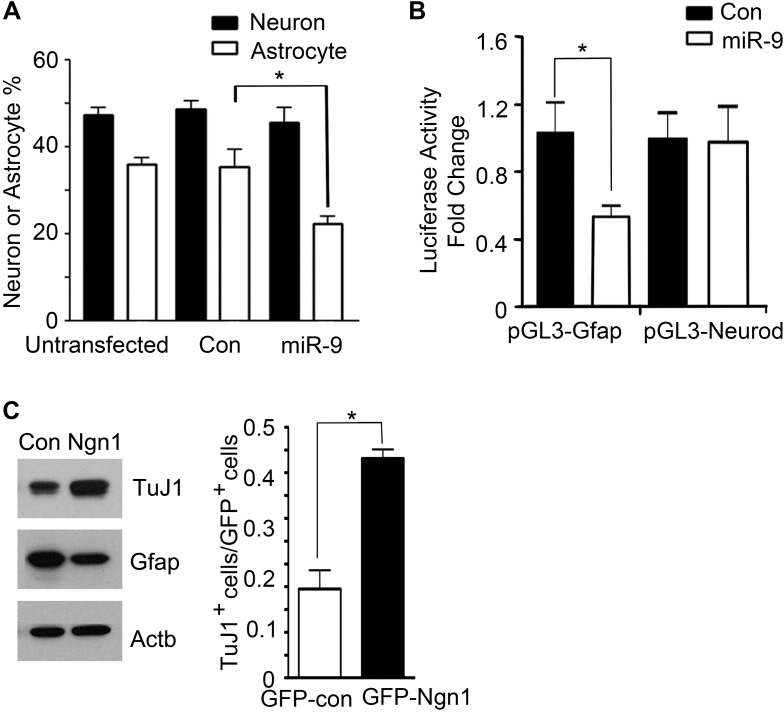 Figure 3—figure supplement 1.