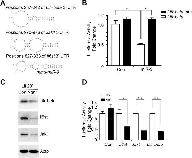 Figure 3—figure supplement 2.