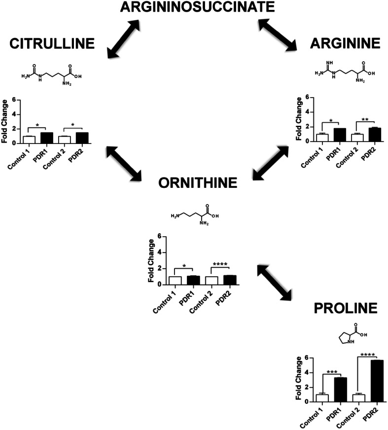 Fig. 3