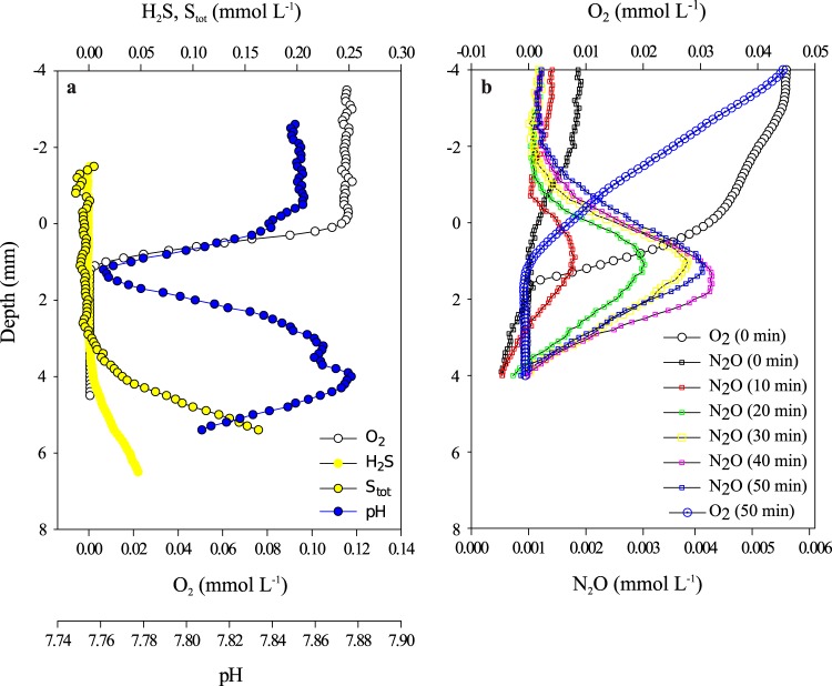 FIG 2