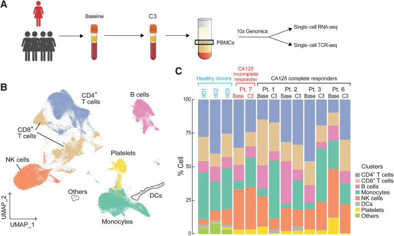 Figure 4. Dynamics of peripheral blood immune cell populations following chemotherapy. A, A summary of sample collection and single-cell analysis. B and C, UMAP (B) and the relative percentage (C) of immune cell populations in the integrated PBMC samples from patients 1, 2, 3, 6, and 7. No statistically significant changes were detected between pre-chemotherapy (Base) and the third cycle of chemotherapy (C3) in each immune cell population using a two-sided one-sample t test.