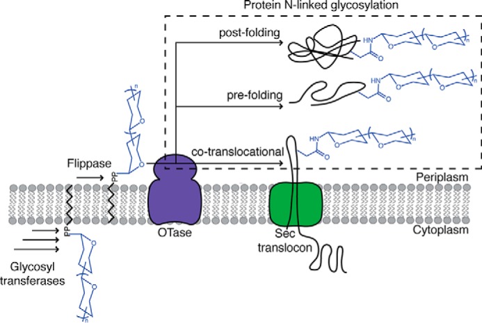 FIGURE 1.