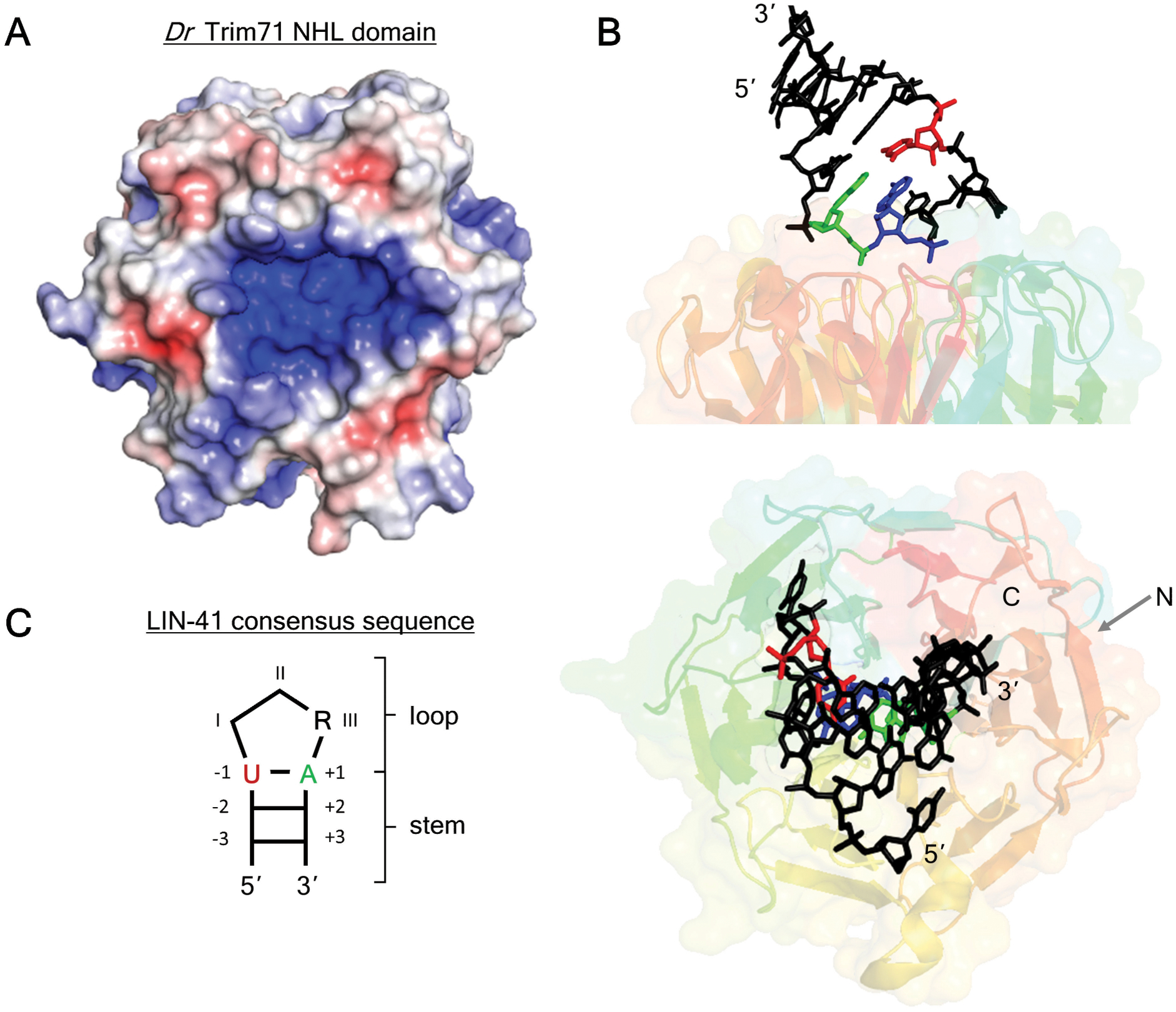 Figure 3.