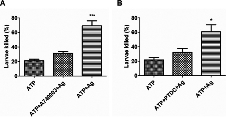 FIG 6