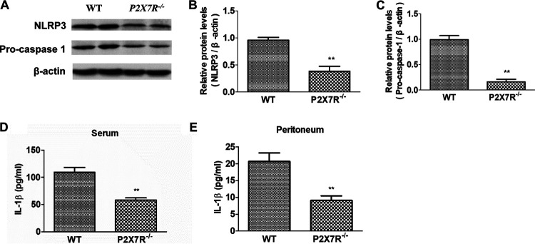 FIG 4