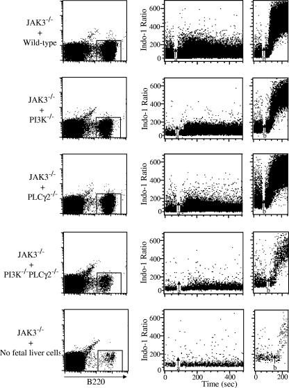 FIG. 5.