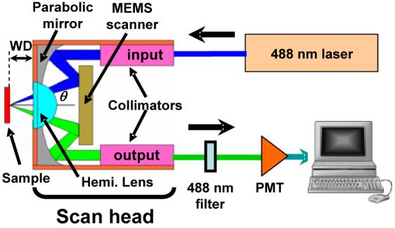 Fig. 1