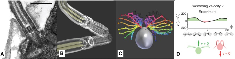 Figure 15: