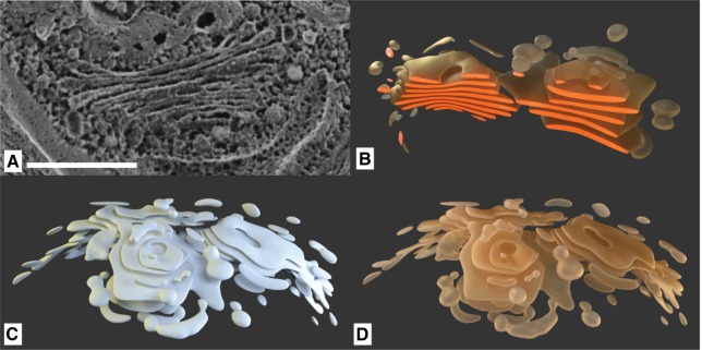 Figure 9: