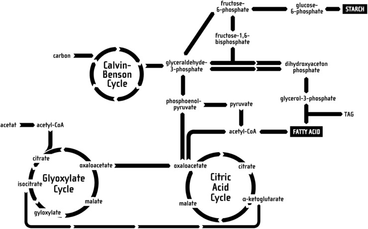 Figure 16: