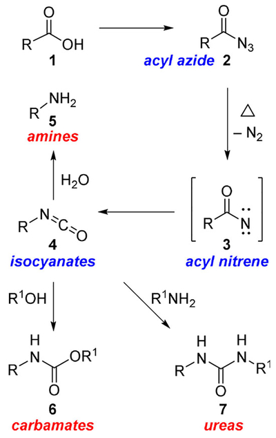 Scheme 1.