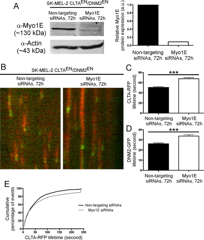 FIGURE 5: