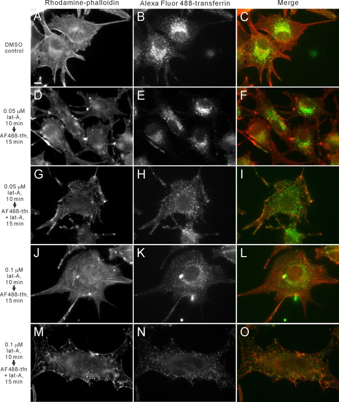 FIGURE 3: