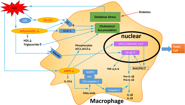 Fig. 3