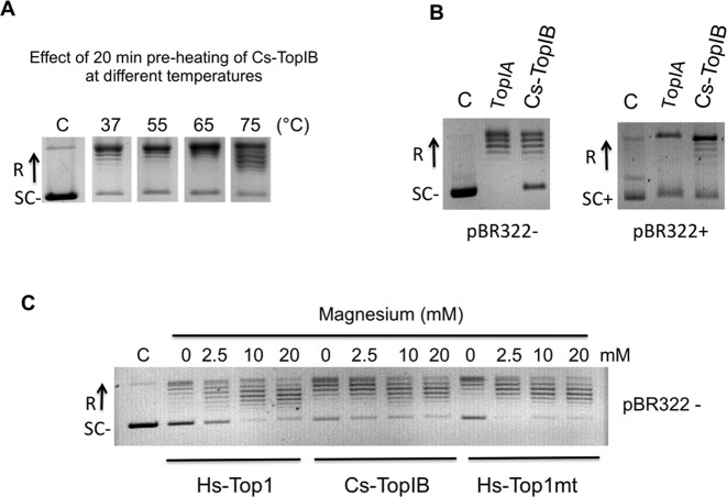 Figure 5.