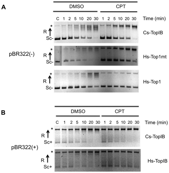 Figure 6.