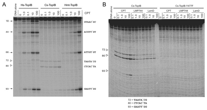 Figure 7.