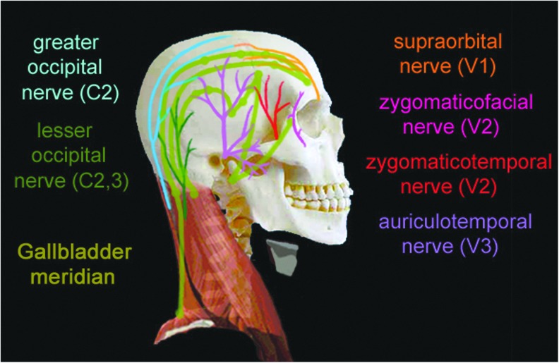 FIG. 7.