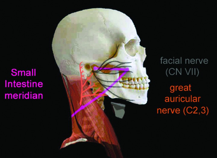 FIG. 10.