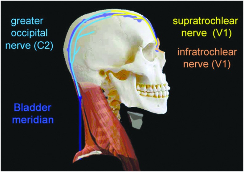 FIG. 6.