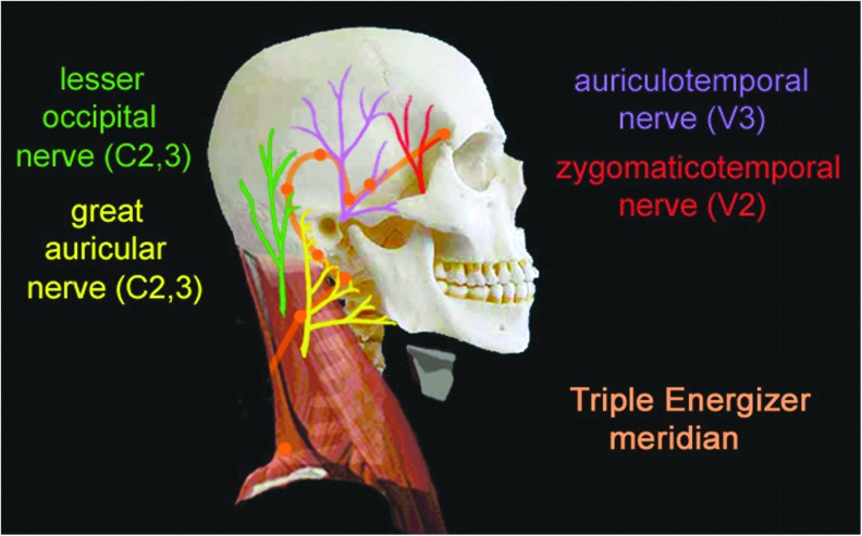 FIG. 8.