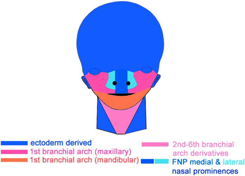 FIG. 2.